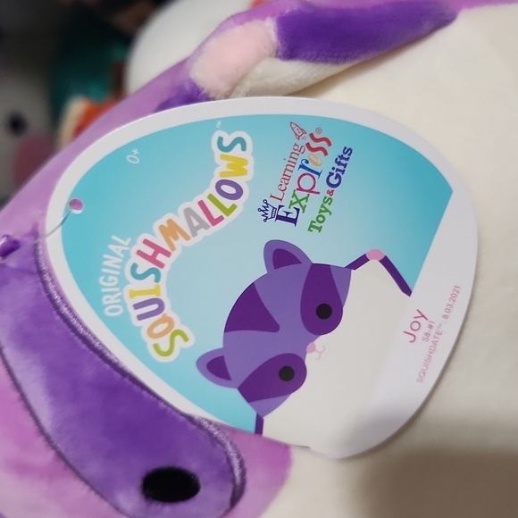 Joy Exclusuve Learning Express Squishmallows NEW NWT 8 inch flying Squirrel - Picture 2 of 7
